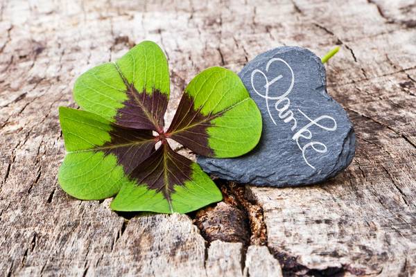 Danke © AdobeStock Sonja Calovini adobestock 63880363 danke sonja calovini
