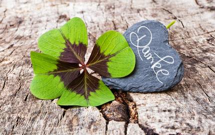 adobestock 63880363 danke sonja calovini